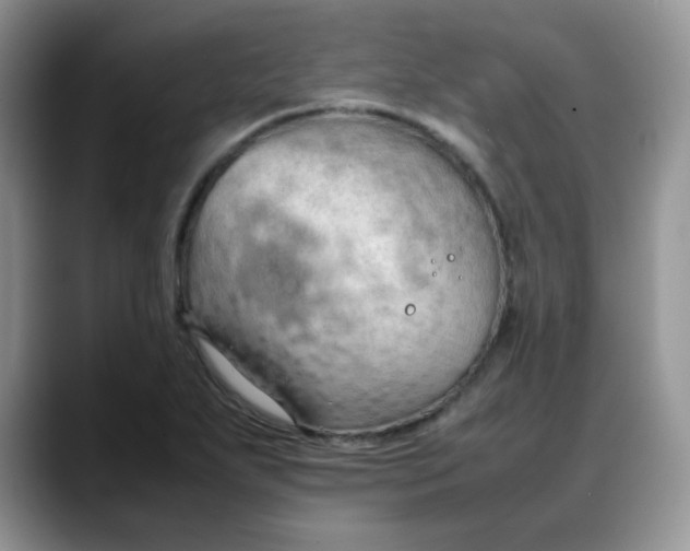 X0000088171271200705291924