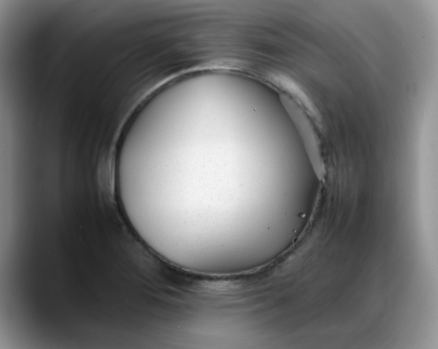 X0000088171276200705291924