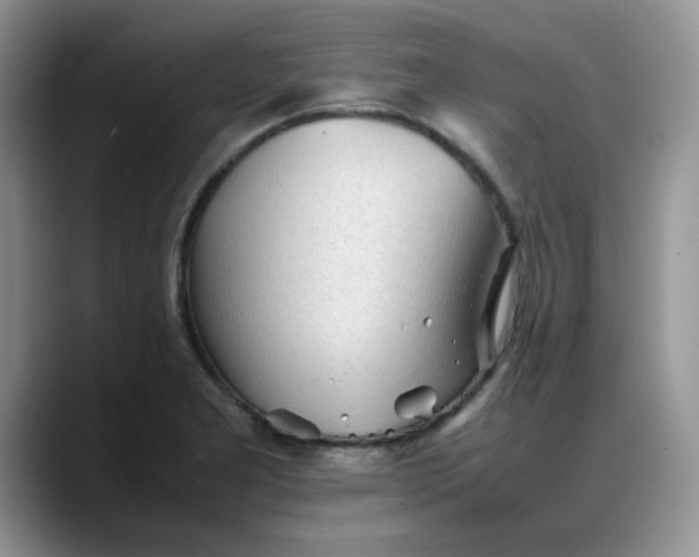 X0000088171277200705291924