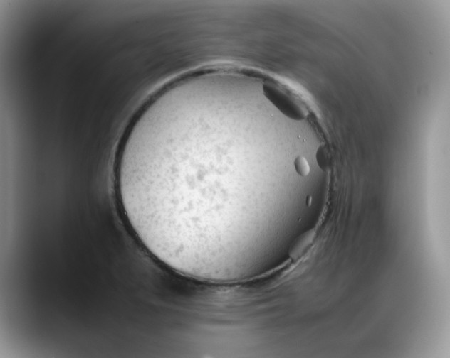 X0000088171279200705291924