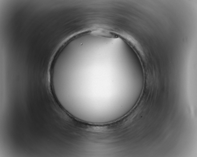 X0000088171280200705291924