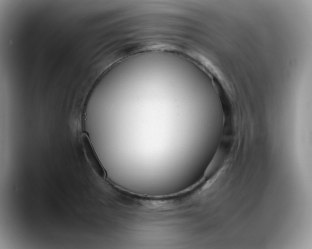 X0000088171281200705291924