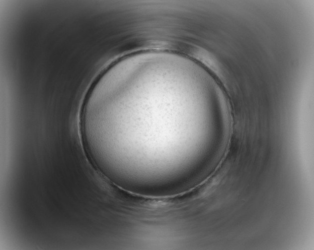 X0000088171283200705291924