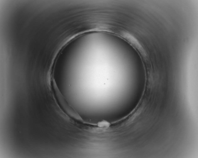 X0000088171284200705291924