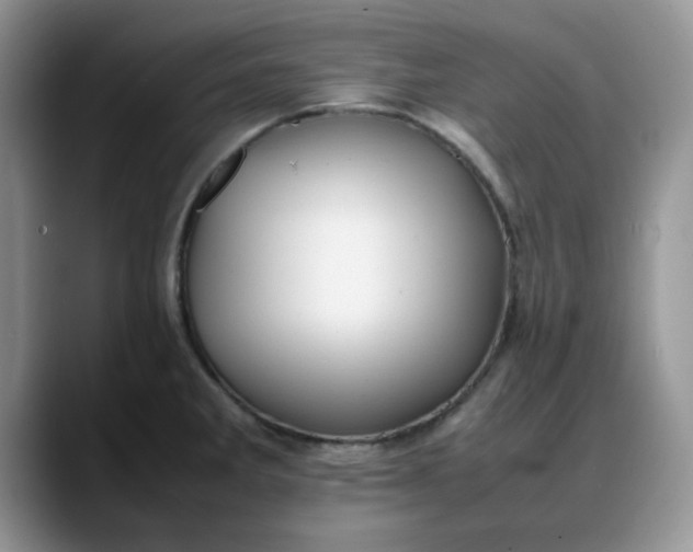 X0000088171285200705291924