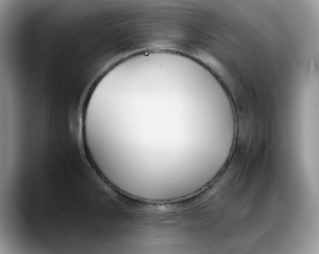 X0000088171286200705291924