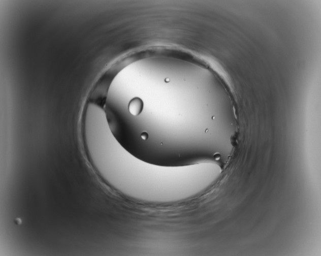 X0000088171287200705291924