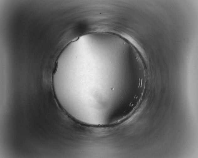 X0000088171289200705291924