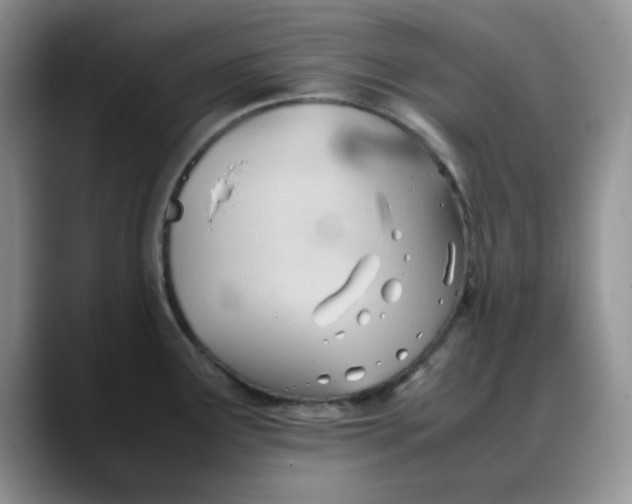 X0000088171291200705291924