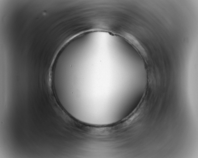 X0000088171292200705291924