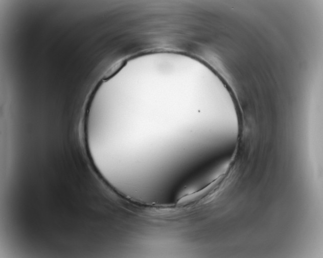 X0000088171293200705291924