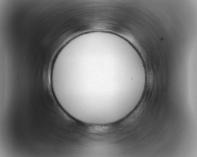 X0000088171294200705291924