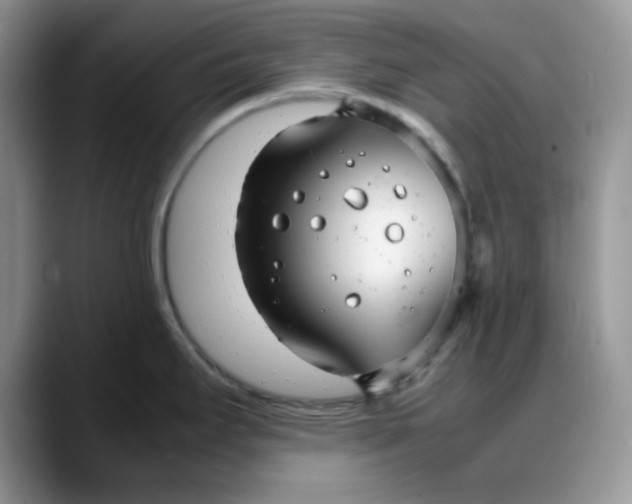 X0000088171295200705291924