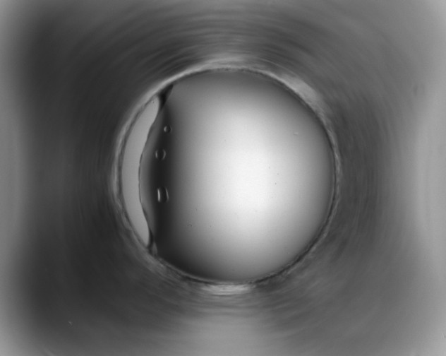 X0000088171296200705291924