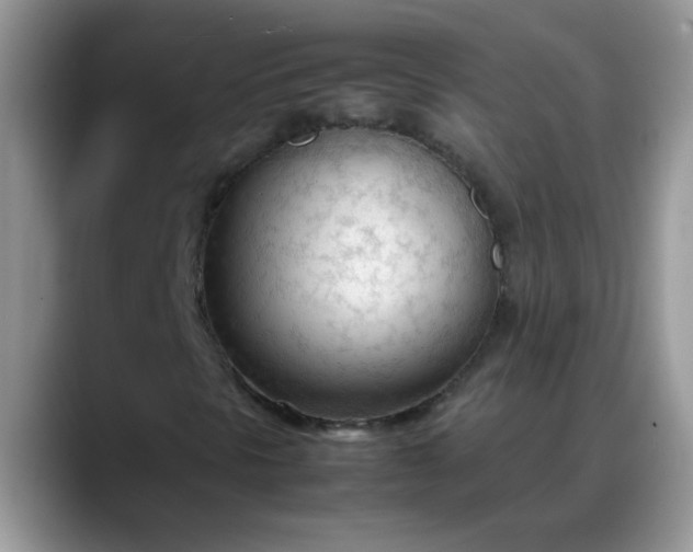 X0000088171297200705291923