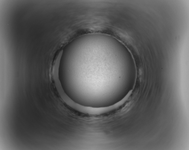 X0000088171300200705291923