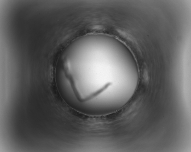 X0000088171301200705291923