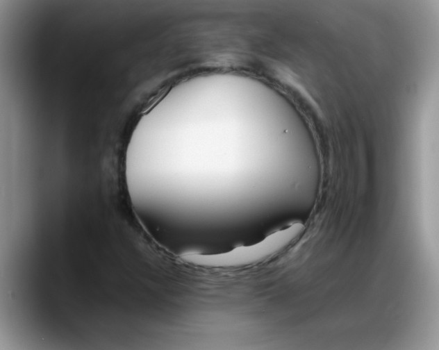 X0000088171304200705291923