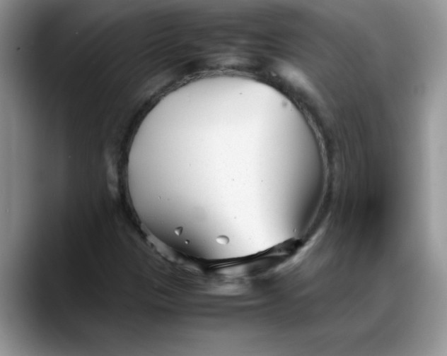 X0000088171305200705291923