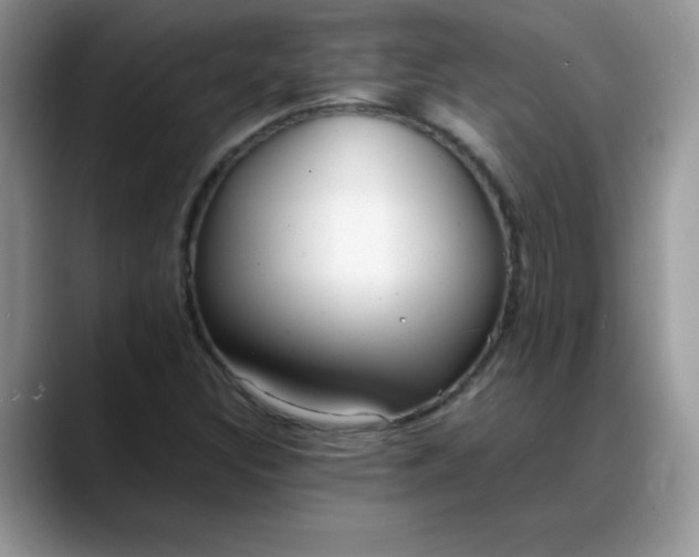 X0000088171308200705291924