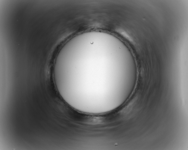 X0000088171309200705291924