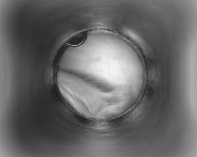 X0000088171310200705291924