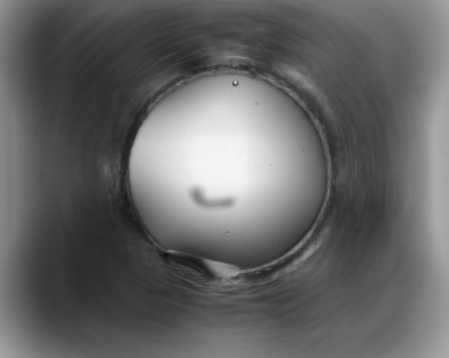 X0000088171313200705291924