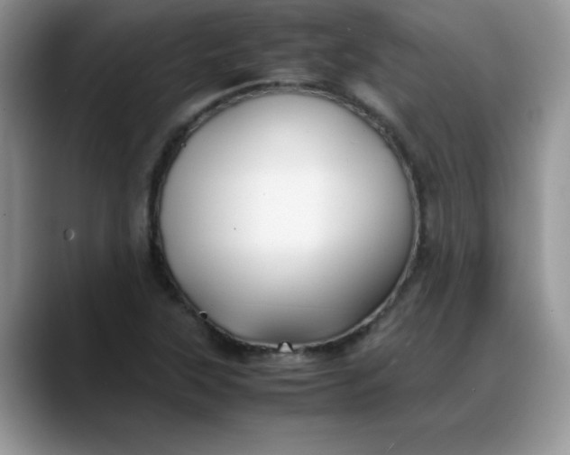 X0000088171315200705291924