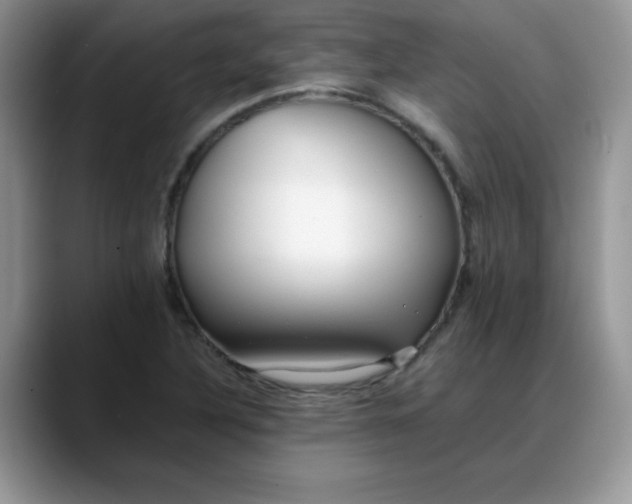 X0000088171316200705291924