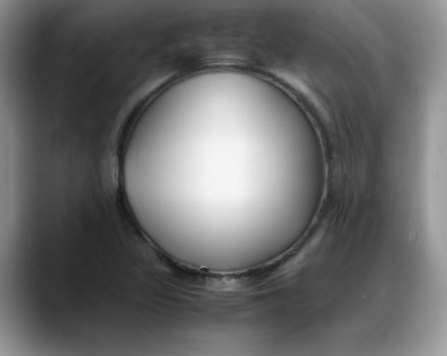 X0000088171317200705291924