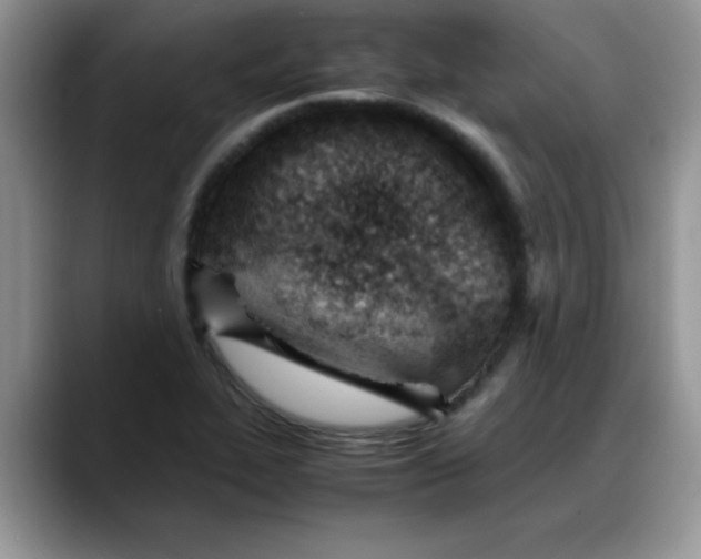 X0000088171319200705291924