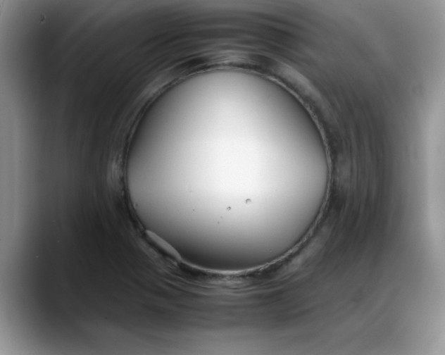 X0000088171321200705291924