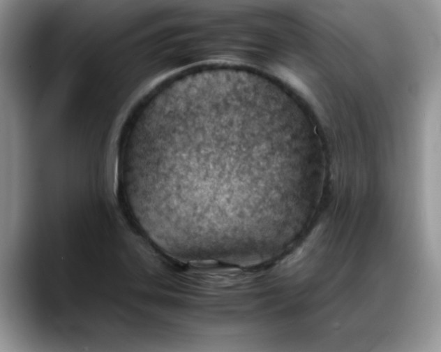 X0000088171323200705291924