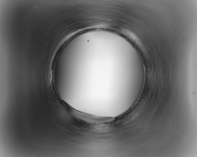 X0000088171324200705291924