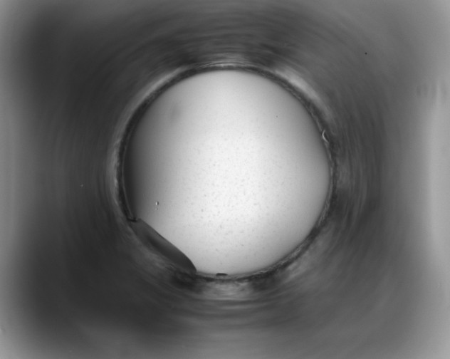 X0000088171325200705291924