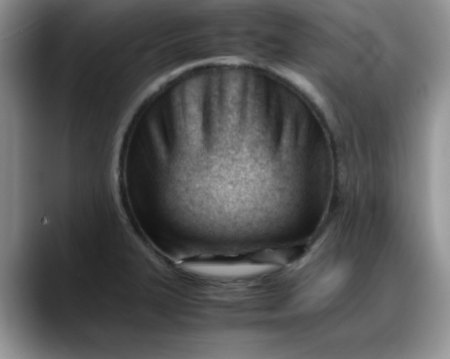 X0000088171327200705291924