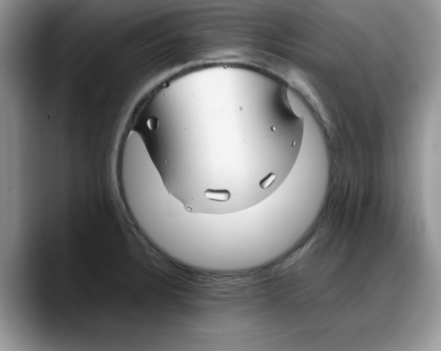 X0000088171328200705291924