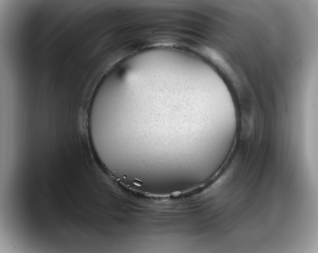 X0000088171329200705291924