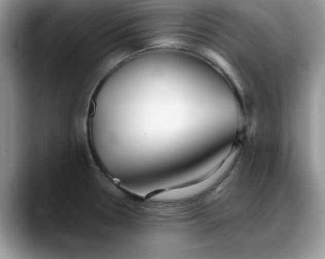 X0000088171330200705291924