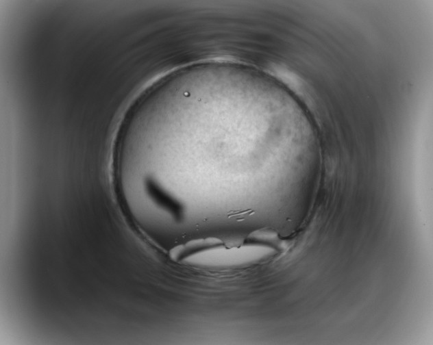 X0000088171331200705291924