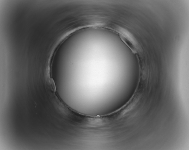 X0000088171332200705291924