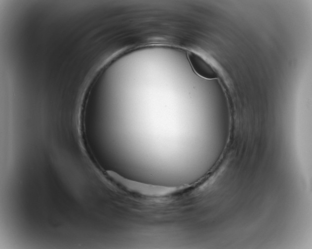 X0000088171333200705291924