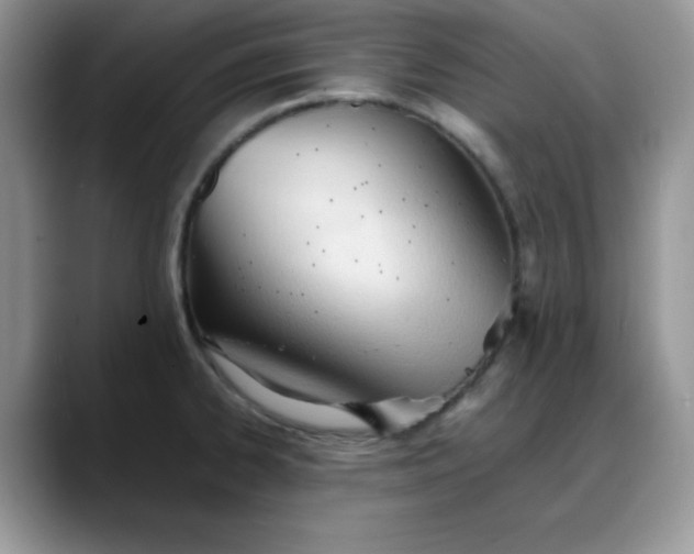 X0000088171334200705291924