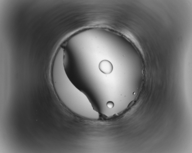 X0000088171336200705291924