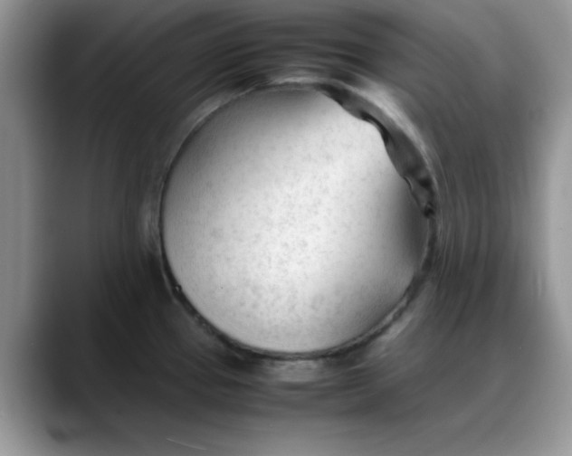 X0000088171337200705291924