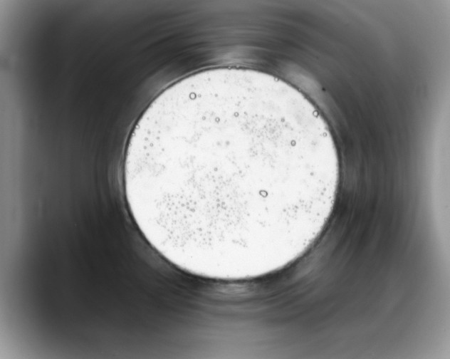 X0000088171338200705291924