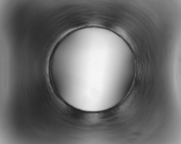 X0000088171339200705291924