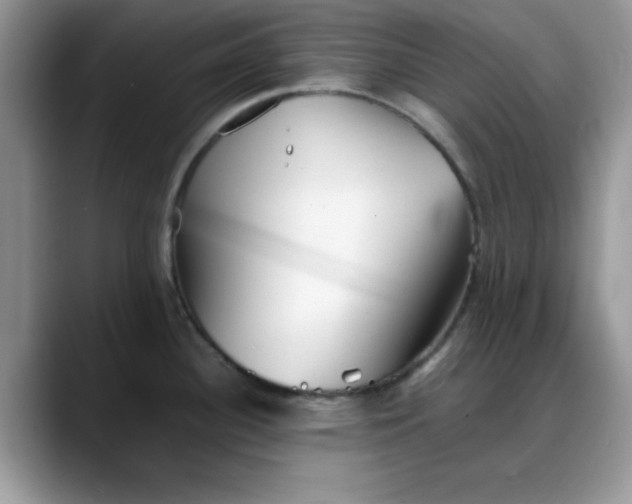 X0000088171340200705291924