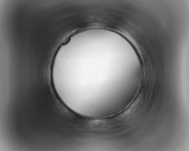 X0000088171341200705291924