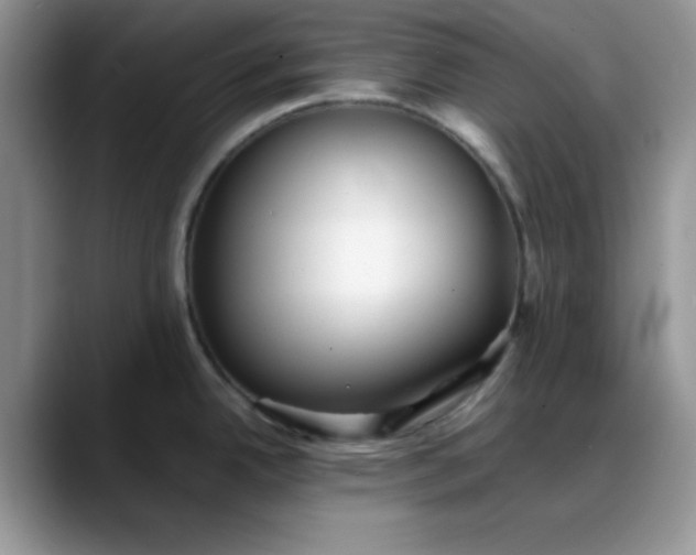 X0000088171342200705291924